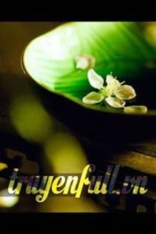 Hồng Trần Nhất Mộng (1)